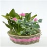 Panier osier bicolor Muguet 3-5 brins , rosa, lierre emballe