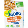 Bjorg granola mangue cajou bio 350g