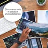 Epson 604 ananas cartouche d'encre multipack