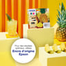 Epson 604 ananas cartouche d'encre multipack