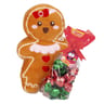 Ginger friends 100g
