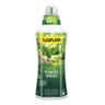 Algoflash engrais plantes vertes UAB 1 L