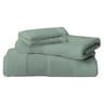 Gant de toilette 16x21cm frosty green lot de 2
