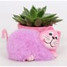 Mini plante pot 7cm chat fluo