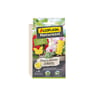 Algoflash Naturasol Pièges Jaunes Collants Décoratifs - 10 Stickers