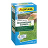 Algoflash Asemences gazon regarnissage xpress 5 jours 800 g