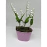 Jardiniere muguet 4 griffes