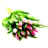 15 tulipes roses Carrefour