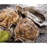 Huitres marennes oleron fdc n4 2DZ 1.5 kg