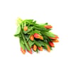 15 tulipes bicolores Carrefour