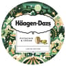 Haagen Dazs pot pistache et crème 420ml 347g