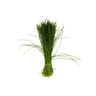 Ciboulette botte fraiche