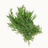 Estragon frais botte