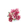Bouquet de 7 roses abracadabra