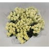 Bouquet de 9 roses blanches tiges de 50 cm