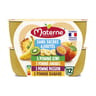 Materne ssa pomme ananas /pomme kiwi/pomme passion/pomme banane 12x100g-1200g