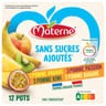 Materne ssa pomme ananas /pomme kiwi/pomme passion/pomme banane 12x100g-1200g