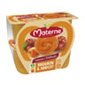 Materne compotes intense et veloutés brugnon abricot 4x97g - 388g