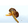 CHANTERELLE GRISE LE KILO