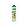 Teisseire sirop ice tea peche 60cl