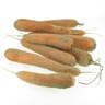 Carotte de sable vrac