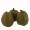 Poire Angelys vrac