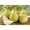 Poire williams verte vrac