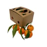 CLEMENTINE FEUILLE BIO BARQUETTE 750G CARREFOUR BIO