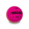 Bioball volley match rainbow