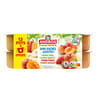 Andros dessert fruitiers panaché sans sucre ajouté 12x100g