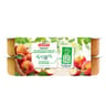 Andros dessert fruitiers panaché sans sucre ajouté 12x100g