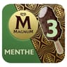 Magnum bâtonnet menthe 3x100ml 234g