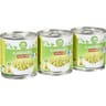 Carrefour classic' flageolets vert extra fins 3x130g