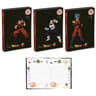 Agenda scolaire 12X17 1J/P ECKO