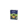 Alpina Savoie nouilles Savoisiennes bio 500g