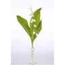 Muguet 1 brin s/pipette