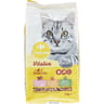 Carrefour companino croquettes pour chat stérilisé au saumon 2kg