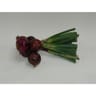 Le Potager de Marie Line oignon rouge botte bio