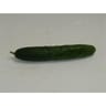 Le Potager de Marie Line concombre court bio