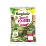 Bonduelle salade jeunes pousses sachet 145g