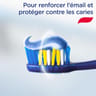 Signal dentifrice tube anti tartre 75ml
