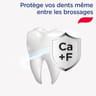 Signal Dentifrice protection caries tube 75ml
