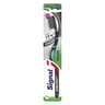Signal brosse à dents sensisoft charbon souple x1