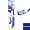 Signal brosse à dent système blancheur éclat brillance medium x1