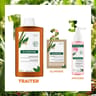 Klorane galanga shampooing anti-pelliculaire 400ml