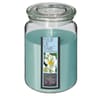 Bougie parfumée Nina dans pot en verre fleur de tiaré 510 g