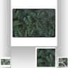 Set de table jungle 45 x 30 cm