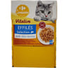 Carrefour companino effilées pour chats en gelée poissons 12 sachets de 85g