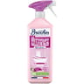 Briochin le nettoyant salle de bain 750ml