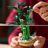 10344 Lego botanicals - Le bambou de la chance